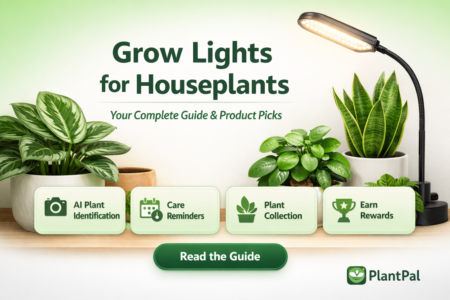 Grow Lights for Houseplants: Your Complete Guide & Product Picks