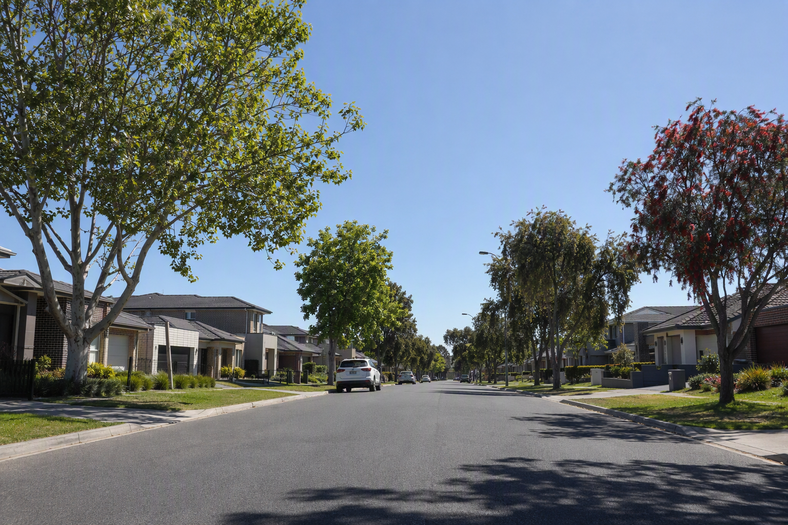 Quiet residential street in Glen Waverley with brick homes and established street trees