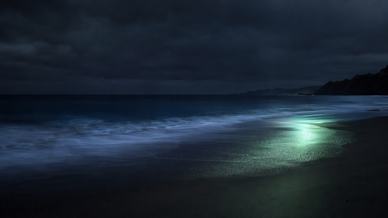 Long-exposure night view of the Coogee coastline, dark surf meeting sand under a graphite sky