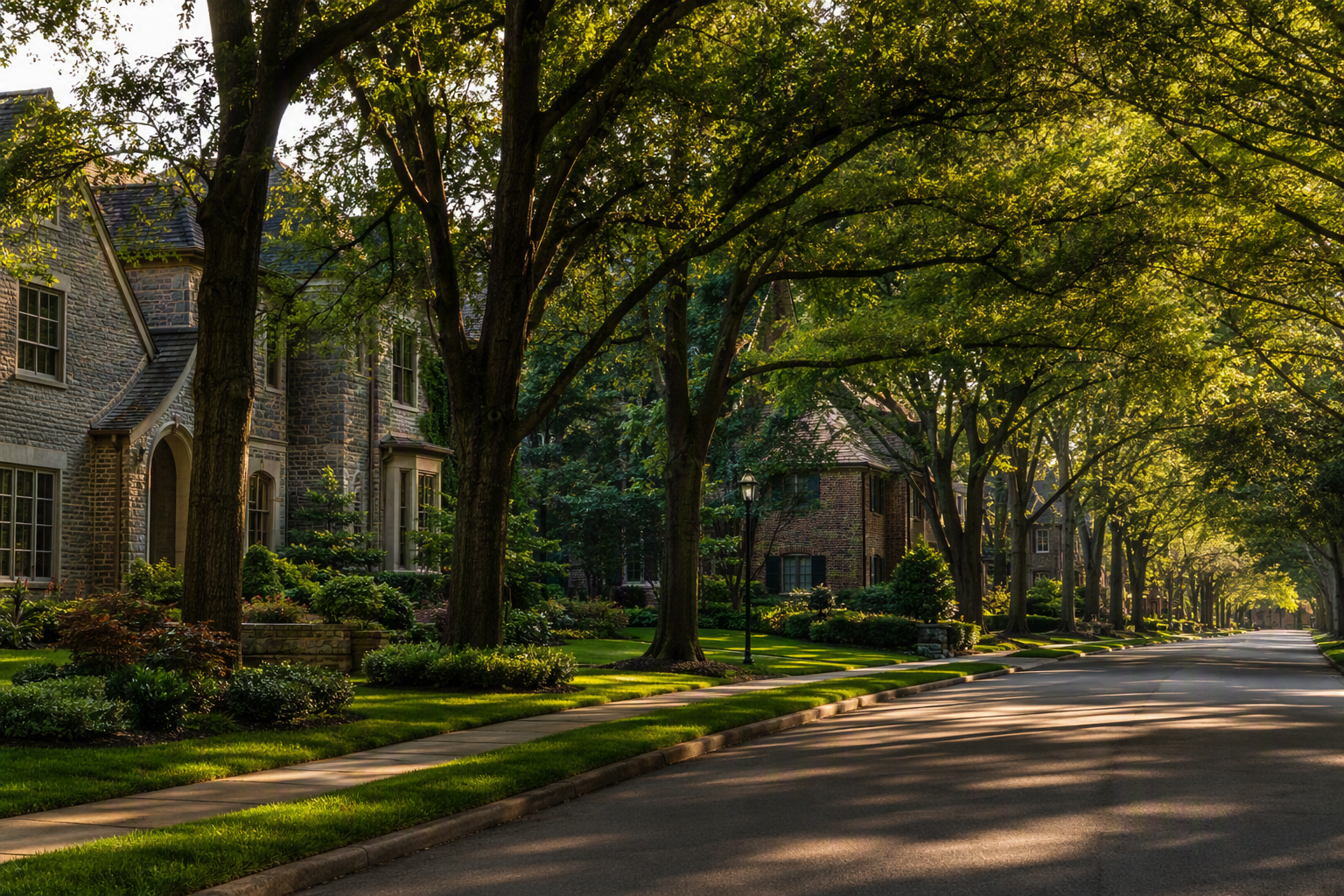 Tree-lined residential street in SouthPark, Charlotte