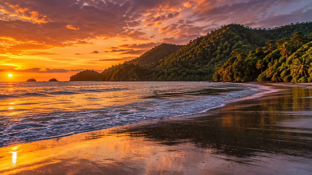 Calm bay with jungle headland