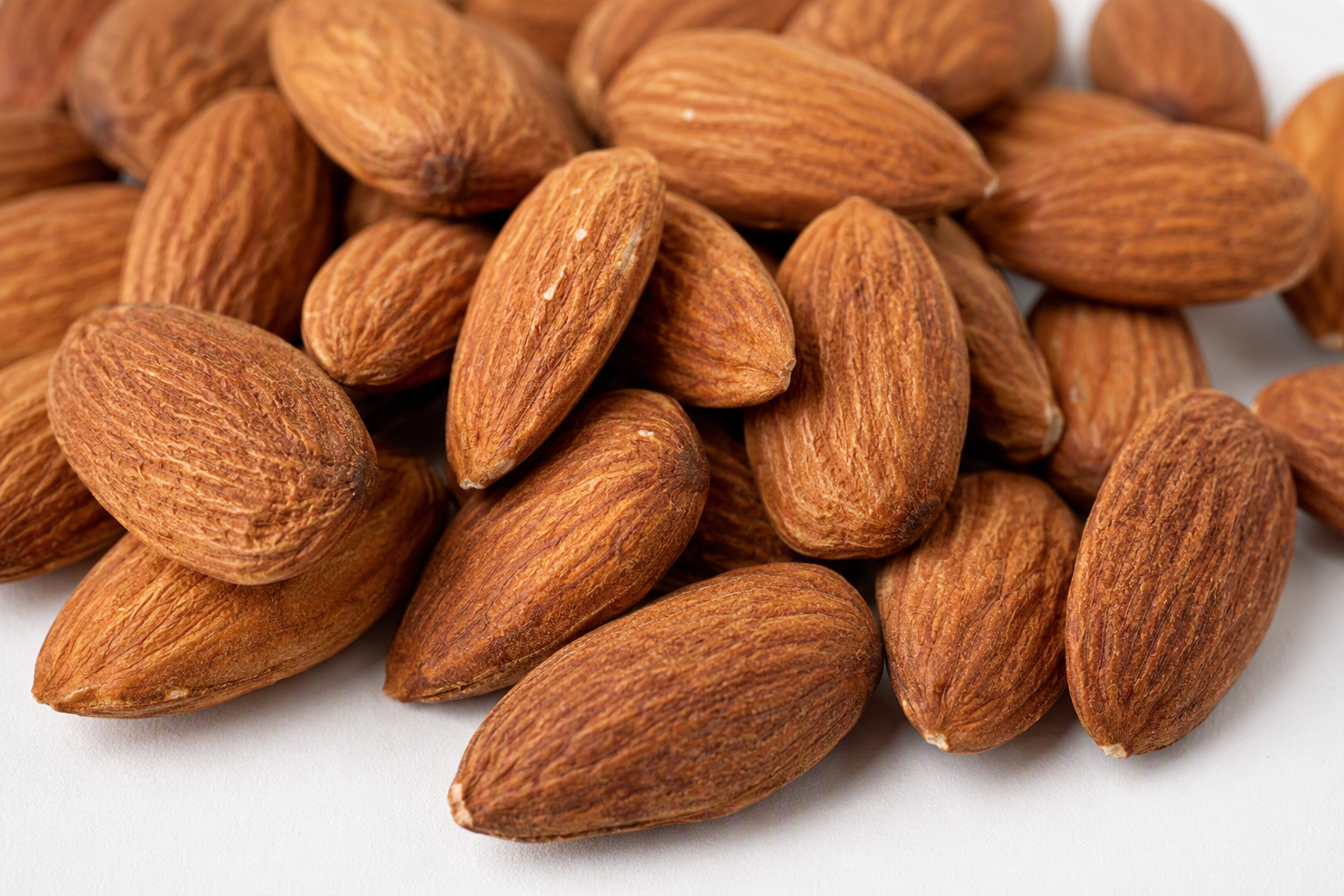 Amandes bio brutes décortiquées avec leur peau, calibre 14-16 mm, origine Espagne