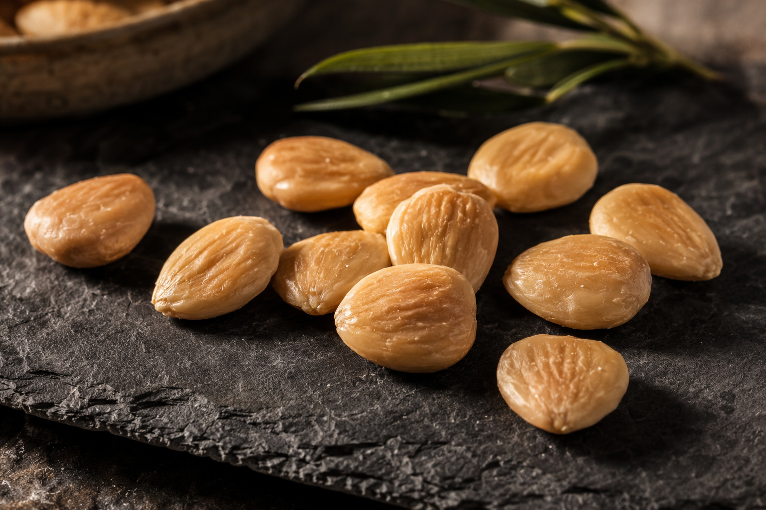 Amande Marcona biologique d'Espagne — variété ronde et plate du Levante pour nougat et turrón