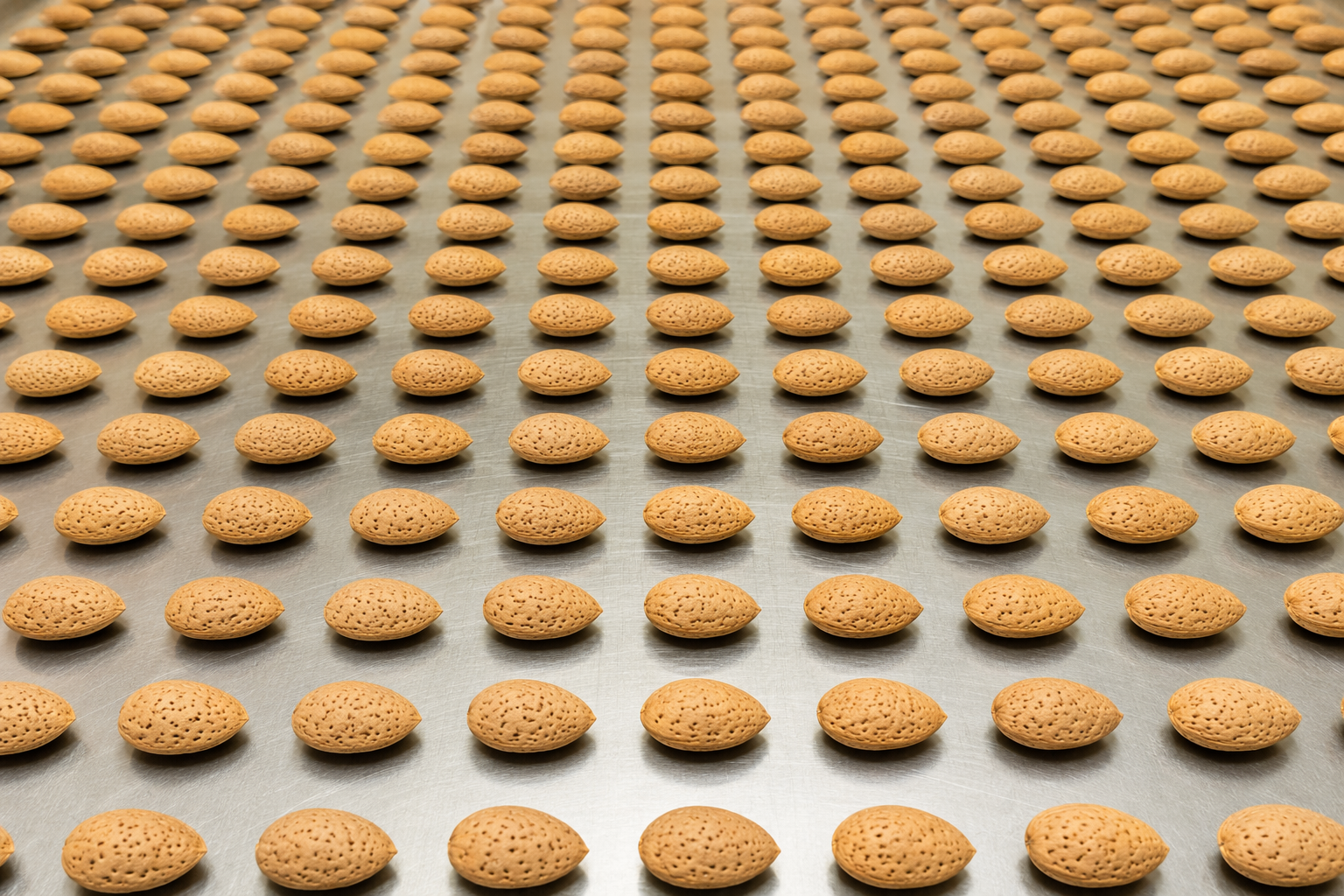 Amande Guara bio d'Espagne — variété industrielle homogène pour contrats annuels