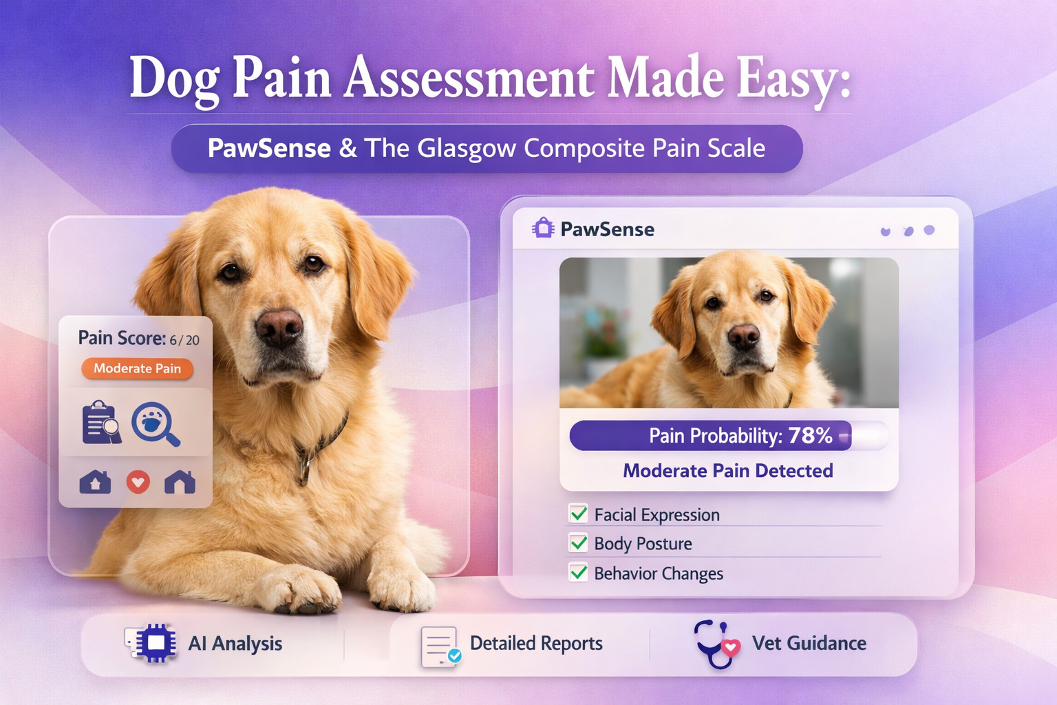 狗狗疼痛评估，PawSense AI结合格拉斯哥量表