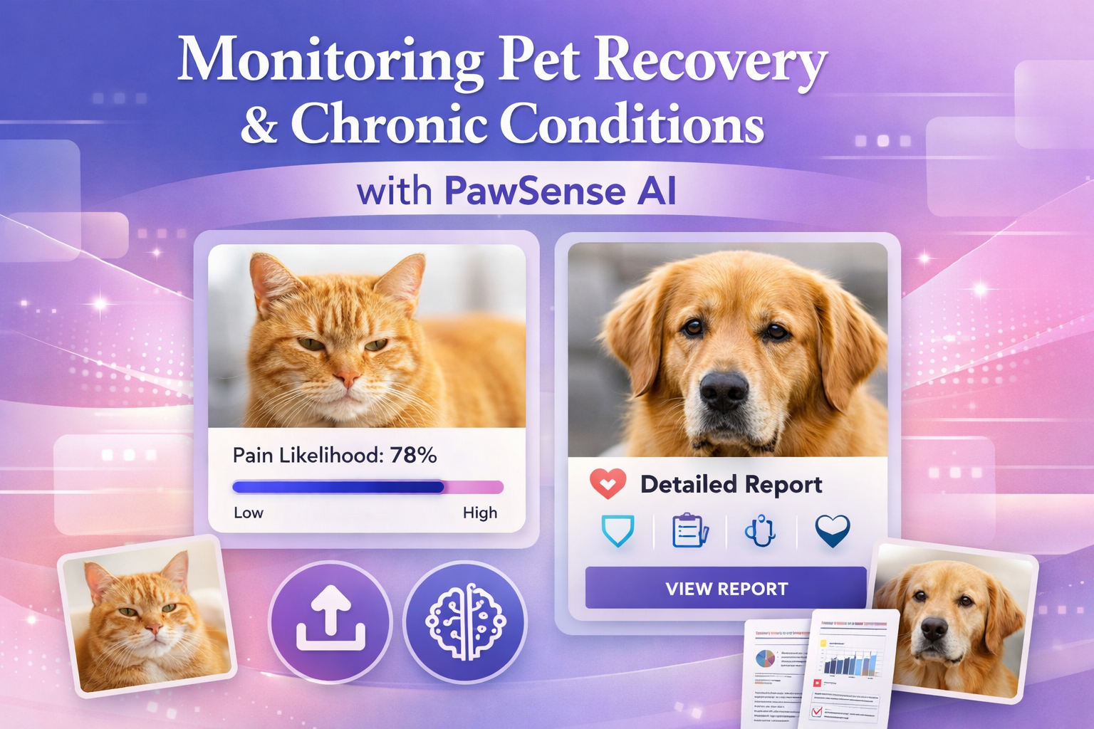 监测宠物康复与慢性疾病：PawSense AI助您一臂之力