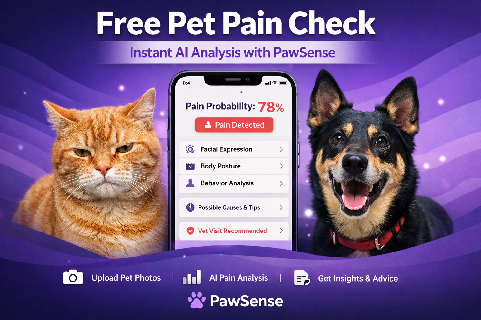 Free Pet Pain Check: Instant AI Analysis with PawSense