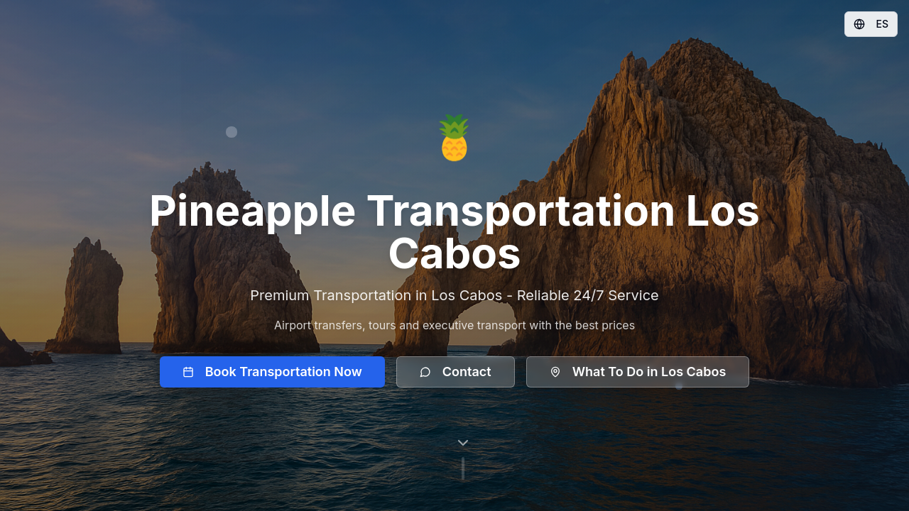 V68 - Página web para Pineapple template preview