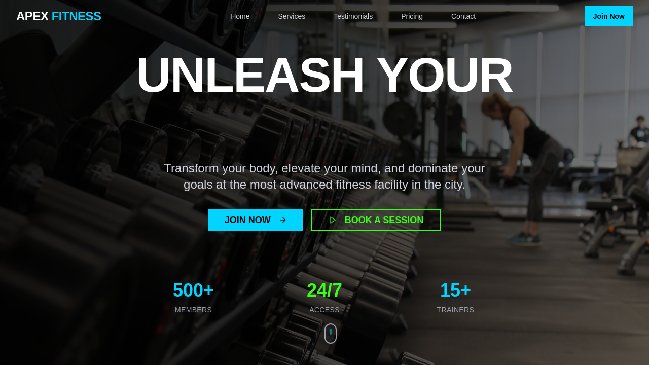 Modern Gym Website Design template preview